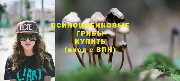 крисы Балабаново