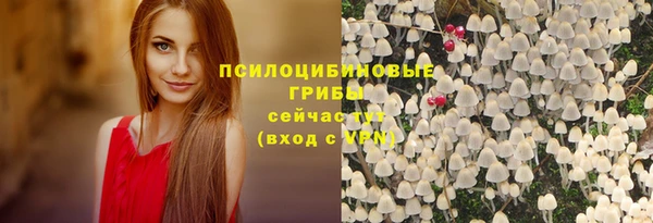 не бодяженный Балахна