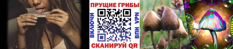 Псилоцибиновые грибы MAGIC MUSHROOMS  Грязи 